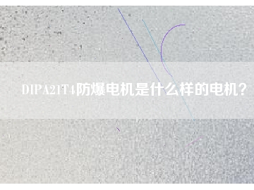 DIPA21T4防爆電機(jī)是什么樣的電機(jī)？