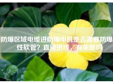 防爆區(qū)域電纜進(jìn)防爆電機(jī)是否需要防爆撓性軟管？直接進(jìn)線，有依據(jù)嗎