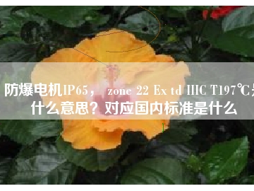 防爆電機(jī)IP65， zone 22 Ex td IIIC T197℃是什么意思？對應(yīng)國內(nèi)標(biāo)準(zhǔn)是什么