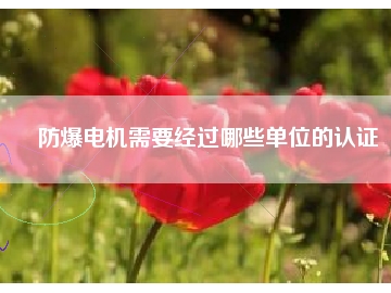 防爆電機(jī)需要經(jīng)過(guò)哪些單位的認(rèn)證
