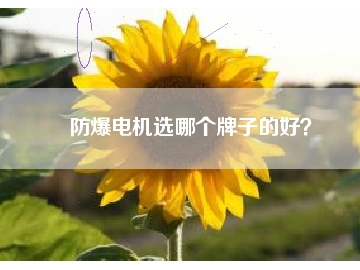 防爆電機(jī)選哪個牌子的好？