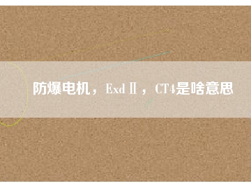 防爆電機(jī)，ExdⅡ，CT4是啥意思