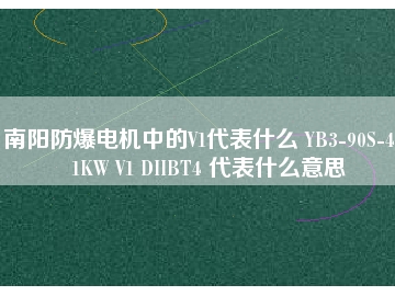 南陽(yáng)防爆電機(jī)中的V1代表什么 YB3-90S-4 1.1KW V1 DIIBT4 代表什么意思
