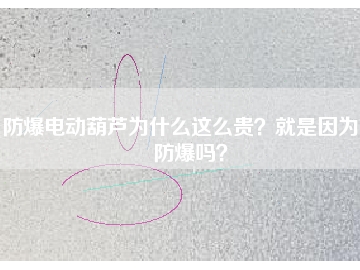 防爆電動(dòng)葫蘆為什么這么貴？就是因?yàn)槟芊辣瑔幔?></div>
                            <div   id=