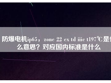 防爆電機(jī)ip65，zone 22 ex td iiic t197℃是什么意思？對應(yīng)國內(nèi)標(biāo)準(zhǔn)是什么