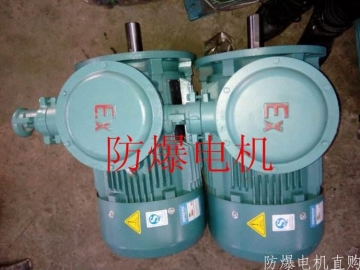防爆電機(jī)分類：防爆電機(jī)選型、參數(shù)、定義