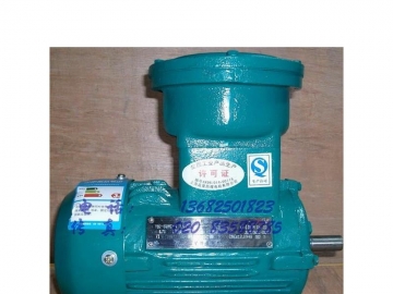 防爆電機(jī)的分類