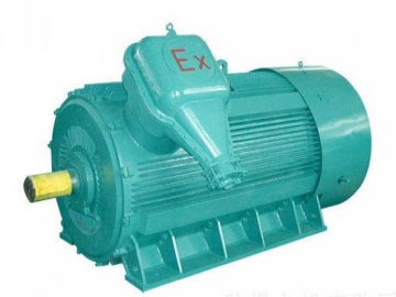 防爆電機(jī)如何出現(xiàn)掃膛、振動(dòng)、軸承過(guò)熱要怎么處理