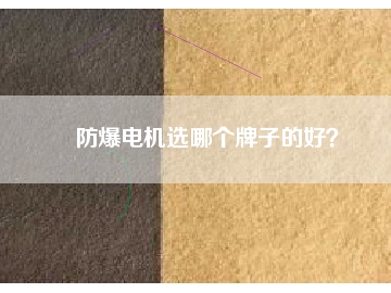 防爆電機(jī)選哪個(gè)牌子的好？
