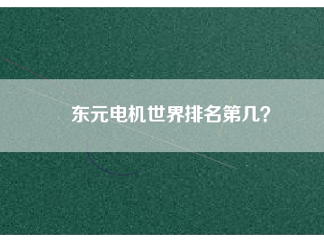 東元電機(jī)世界排名第幾？