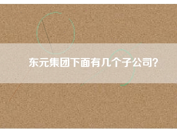 東元集團(tuán)下面有幾個(gè)子公司？