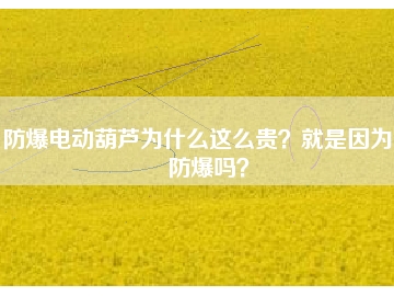 防爆電動葫蘆為什么這么貴？就是因為能防爆嗎？