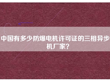 中國(guó)有多少防爆電機(jī)許可證的三相異步電機(jī)廠家？