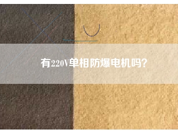 有220V單相防爆電機(jī)嗎？