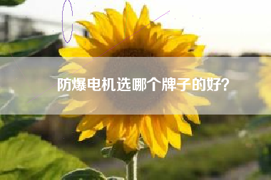 防爆電機(jī)選哪個(gè)牌子的好？