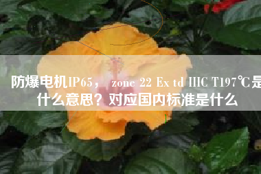 防爆電機IP65， zone 22 Ex td IIIC T197℃是什么意思？對應(yīng)國內(nèi)標準是什么