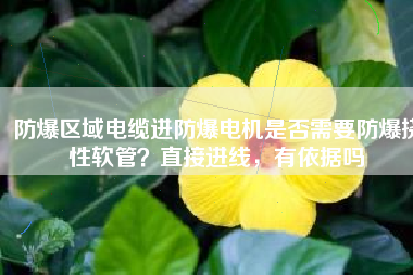 防爆區(qū)域電纜進防爆電機是否需要防爆撓性軟管？直接進線，有依據(jù)嗎