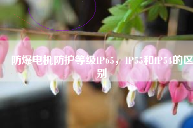 防爆電機(jī)防護(hù)等級(jí)IP65，IP55和IP54的區(qū)別