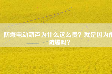 防爆電動(dòng)葫蘆為什么這么貴？就是因?yàn)槟芊辣瑔幔? title=