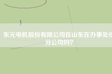 東元電機(jī)股份有限公司在山東在辦事處或分公司嗎？