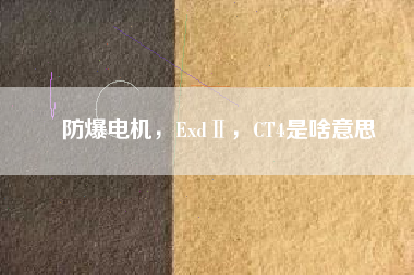 防爆電機，ExdⅡ，CT4是啥意思