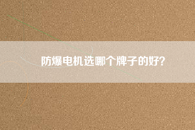 防爆電機(jī)選哪個(gè)牌子的好？