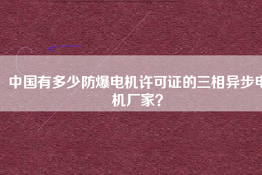 中國(guó)有多少防爆電機(jī)許可證的三相異步電機(jī)廠(chǎng)家？