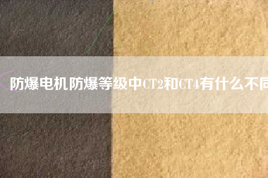 防爆電機(jī)防爆等級中CT2和CT4有什么不同