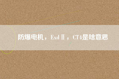 防爆電機(jī)，ExdⅡ，CT4是啥意思